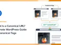 Guide WordPress sur l'URL canonique et les balises rel="canonical" pour éviter les pages dupliquées.