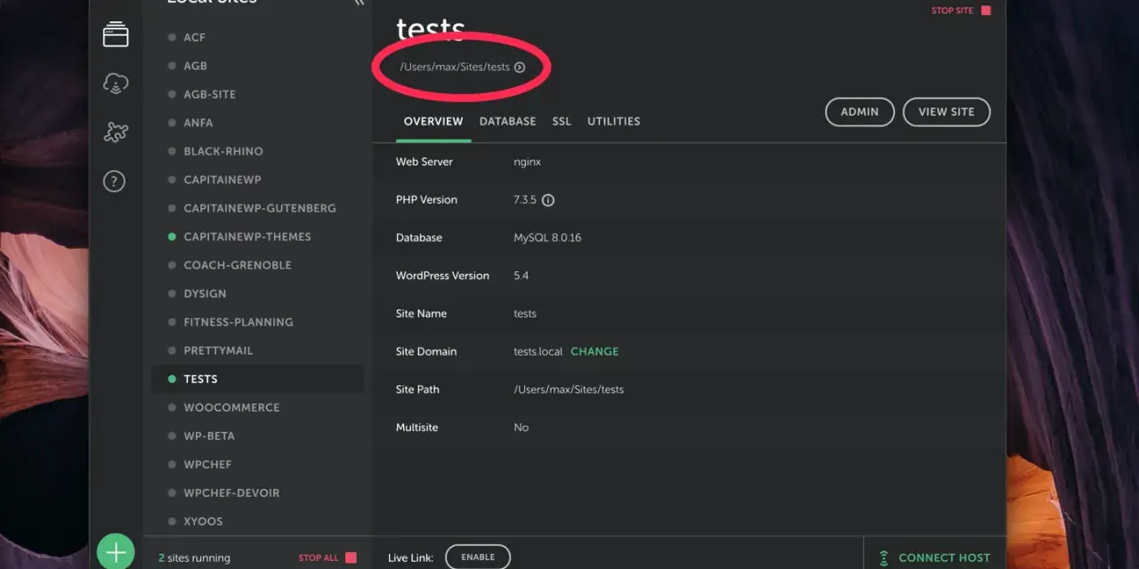 Interface pour mettre en ligne un site WordPress. Détails du site "tests" affichés, incluant le chemin d'accès.