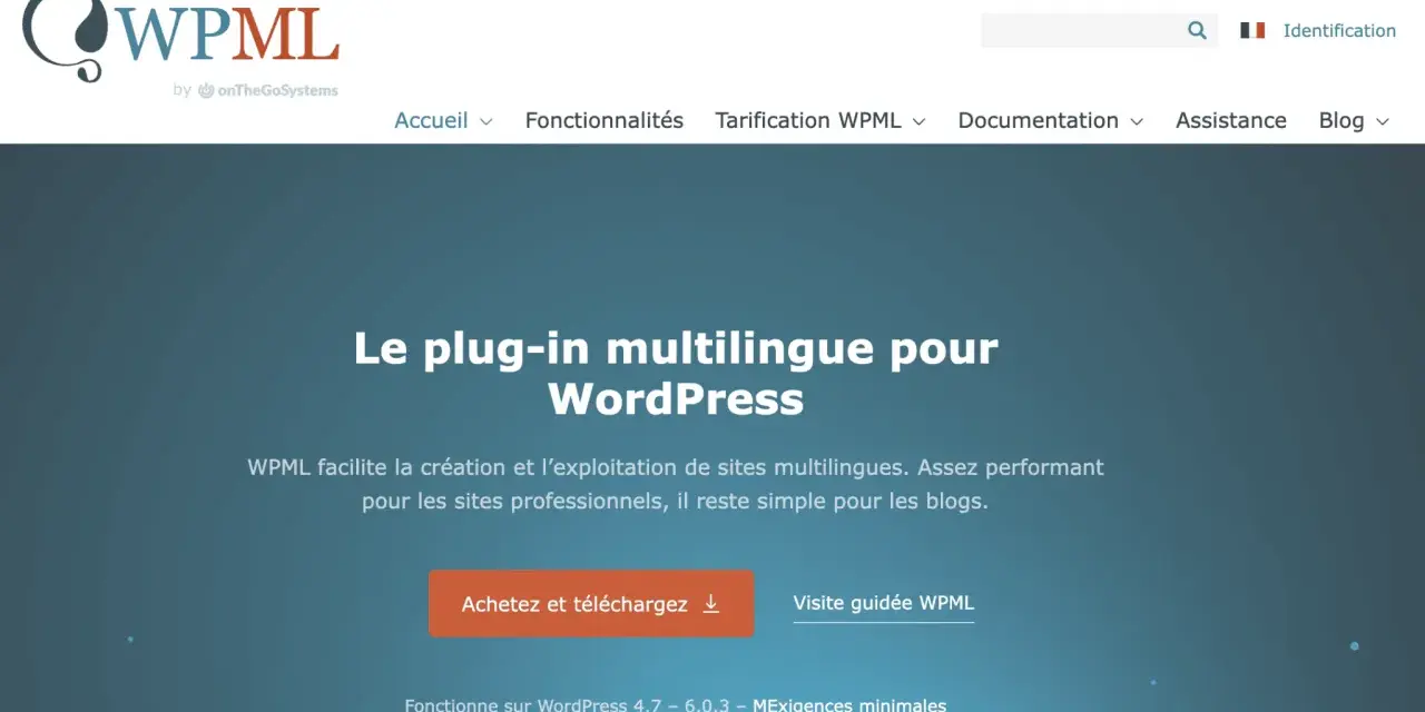 Le plug-in multilingue WPML pour WordPress, une alternative à Google Translate, facilite la création de sites multilingues.