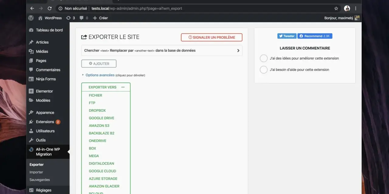 Interface d'exportation d'un site local WordPress, offrant diverses destinations comme Dropbox ou Google Drive.