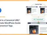 Guide WordPress sur l'URL canonique et les balises rel="canonical" pour éviter les pages dupliquées.