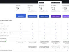 Comparaison des offres WordPress : gratuit ou payant. Les plans varient de 0€ à 45€, avec des fonctionnalités croissantes.