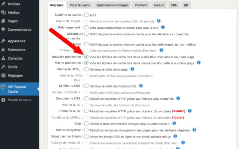Dans les réglages de WP Fastest Cache, la case "Nouvelle publication" est cochée pour vider le cache lors de la publication d'un article.