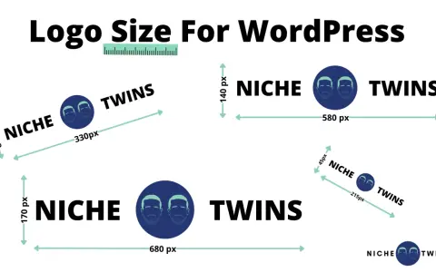 Guide sur la taille logo WordPress : différents formats pour le logo "Niche Twins" avec leurs dimensions en pixels.