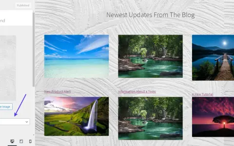 Image de fond WordPress avec des paysages variés : mer turquoise, rivière en forêt, lac au clair de lune, cascade, et arbre au coucher du soleil.