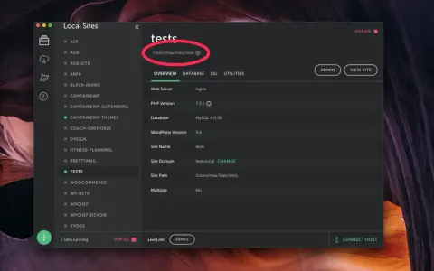 Interface pour mettre en ligne un site WordPress. Détails du site "tests" affichés, incluant le chemin d'accès.