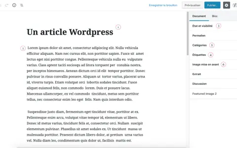 Un article WordPress en cours de rédaction, avec des options de publication et de configuration sur la droite.