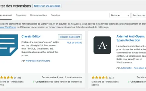 Interface d'ajout d'extensions WordPress. Recherche d'un plugin portfolio WordPress pour améliorer votre site.