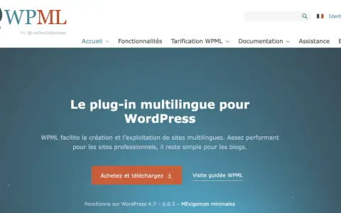 Le plug-in multilingue WPML pour WordPress, une alternative à Google Translate, facilite la création de sites multilingues.