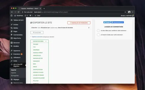 Interface d'exportation d'un site local WordPress, offrant diverses destinations comme Dropbox ou Google Drive.