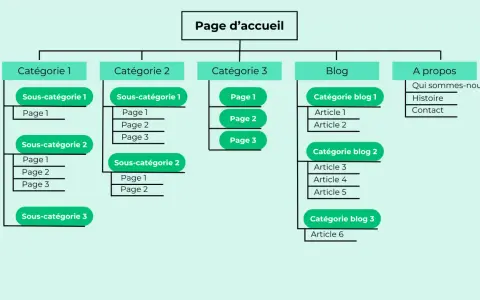 Plan du site web : page d'accueil, catégories, sous-catégories, blog et à propos.