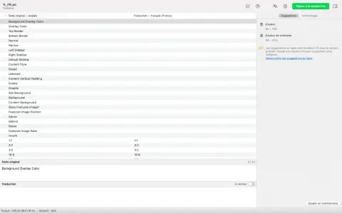Interface de traduction pour un thème WordPress, affichant des options comme "Couleur" et "Couleur de contraste".