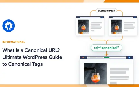 Guide WordPress sur l'URL canonique et les balises rel="canonical" pour éviter les pages dupliquées.