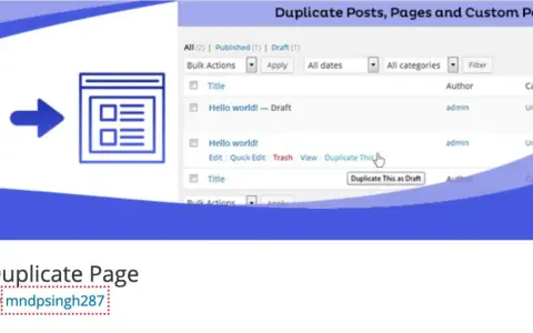 Icône montrant la duplication d'une page WordPress. L'interface affiche l'option "Duplicate This" pour créer une copie.