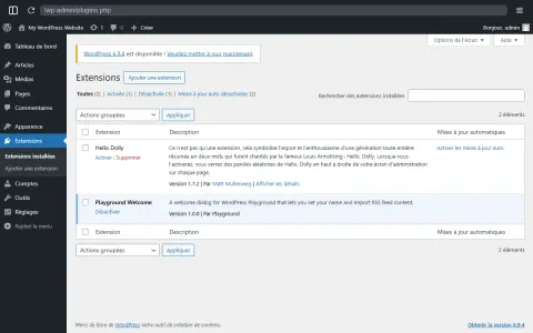 Interface d'administration WordPress pour mettre WordPress en français. Liste des extensions installées, avec "Hello Dolly" et "Playground Welcome".