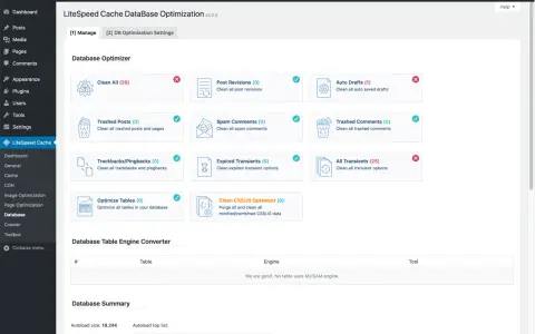 Interface d'optimisation de base de données de LiteSpeed Cache pour WordPress. Nettoie les brouillons, les commentaires spam, les révisions, etc.