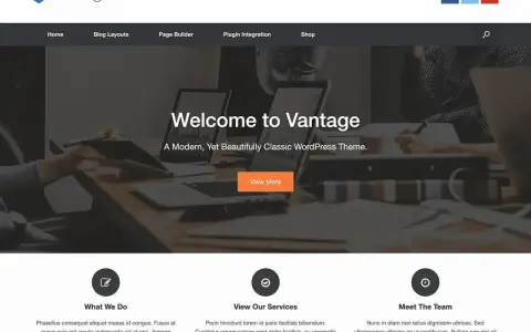 Exemple de site web personnel : page d'accueil du thème WordPress Vantage, avec un slogan invitant et des sections "Ce que nous faisons", "Nos services" et "Notre équipe".