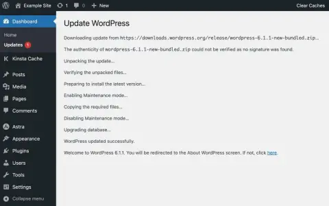 Mise à jour de WordPress 6.1.1 effectuée avec succès. Le site est prêt.