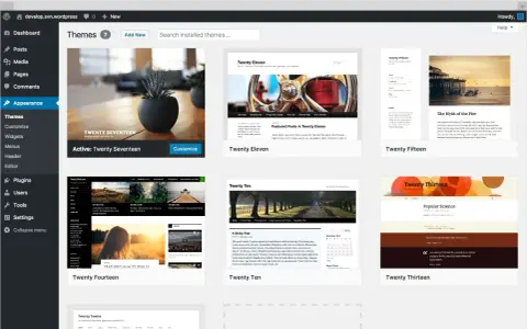 Interface WordPress pour choisir un template blog. Thèmes disponibles : Twenty Seventeen, Eleven, Fifteen, Ten, Fourteen, Thirteen, Twelve.