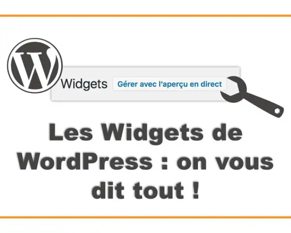 Logo WordPress et texte "Les Widgets de WordPress : on vous dit tout !" avec une clé à molette.