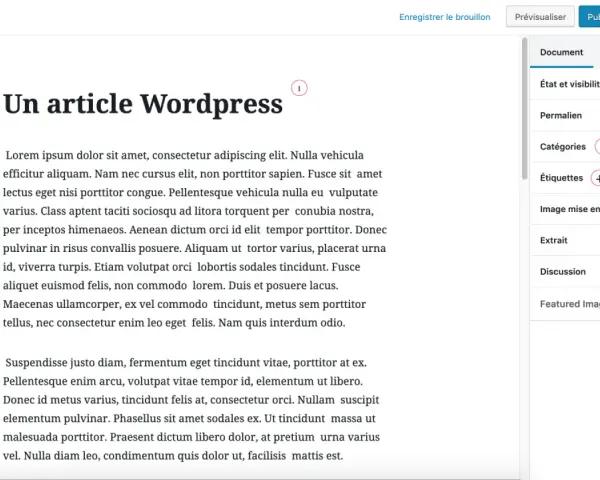 Un article WordPress en cours de rédaction, avec des options de publication et de configuration sur la droite.