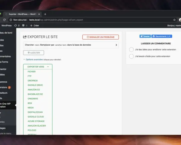 Interface d'exportation d'un site local WordPress, offrant diverses destinations comme Dropbox ou Google Drive.