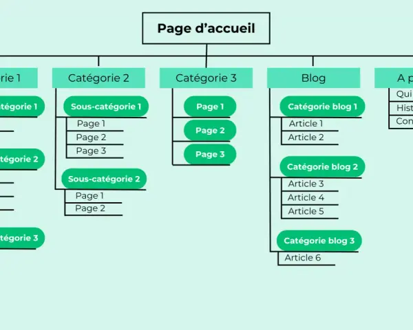 Plan du site web : page d'accueil, catégories, sous-catégories, blog et à propos.