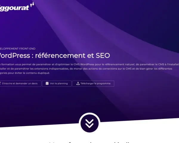 Formation WordPress : référencement et SEO. Apprenez à optimiser votre site pour le SEO naturel, installer des extensions et gérer le contenu.