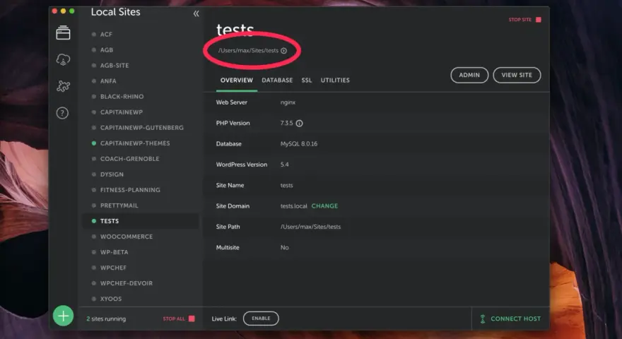 Interface pour mettre en ligne un site WordPress. Détails du site "tests" affichés, incluant le chemin d'accès.