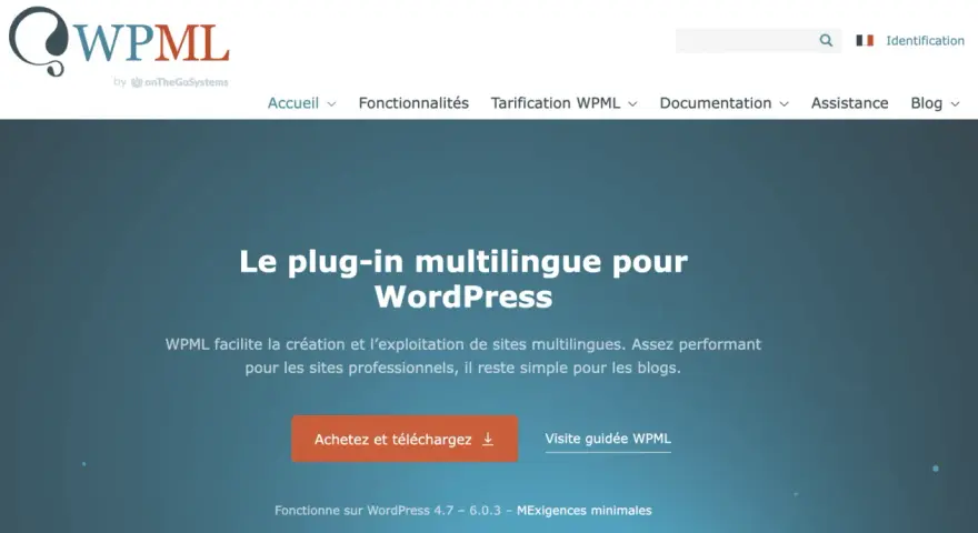 Le plug-in multilingue WPML pour WordPress, une alternative à Google Translate, facilite la création de sites multilingues.