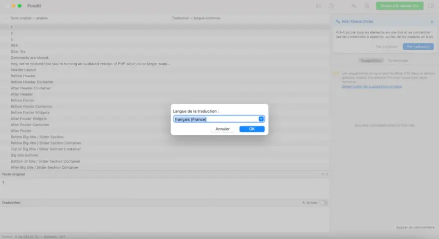 Fenêtre de Poedit pour traduire un plugin WordPress. Sélection de la langue : français (France).
