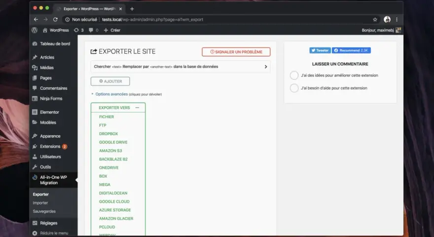 Interface d'exportation d'un site local WordPress, offrant diverses destinations comme Dropbox ou Google Drive.