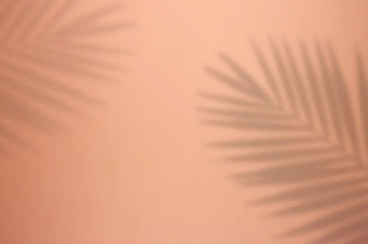 Ombre de feuilles de palmier sur un arri&egrave;re-plan personnalis&eacute; couleur p&ecirc;che, &eacute;voquant une ambiance tropicale douce.
